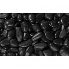 Margo 20 lb Black Grade A Polished Pebbles, .5" to 1.5"   555017532